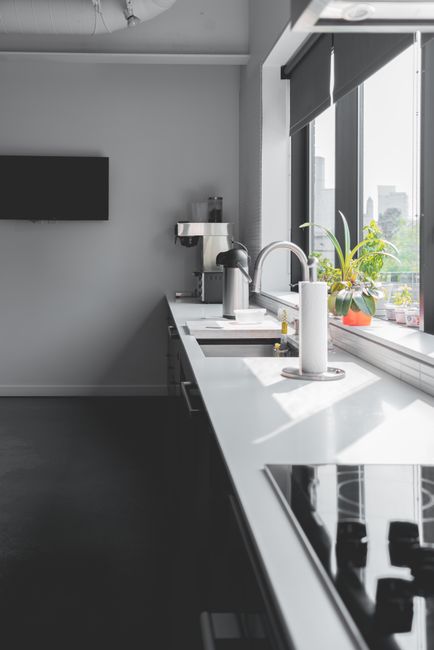 Sunlight falling across a kitchen bench beside large windows